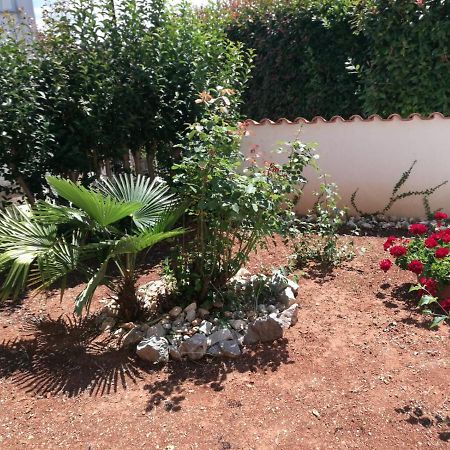 Ferienhaus Bozena Appartment 4 Vrsar Ngoại thất bức ảnh