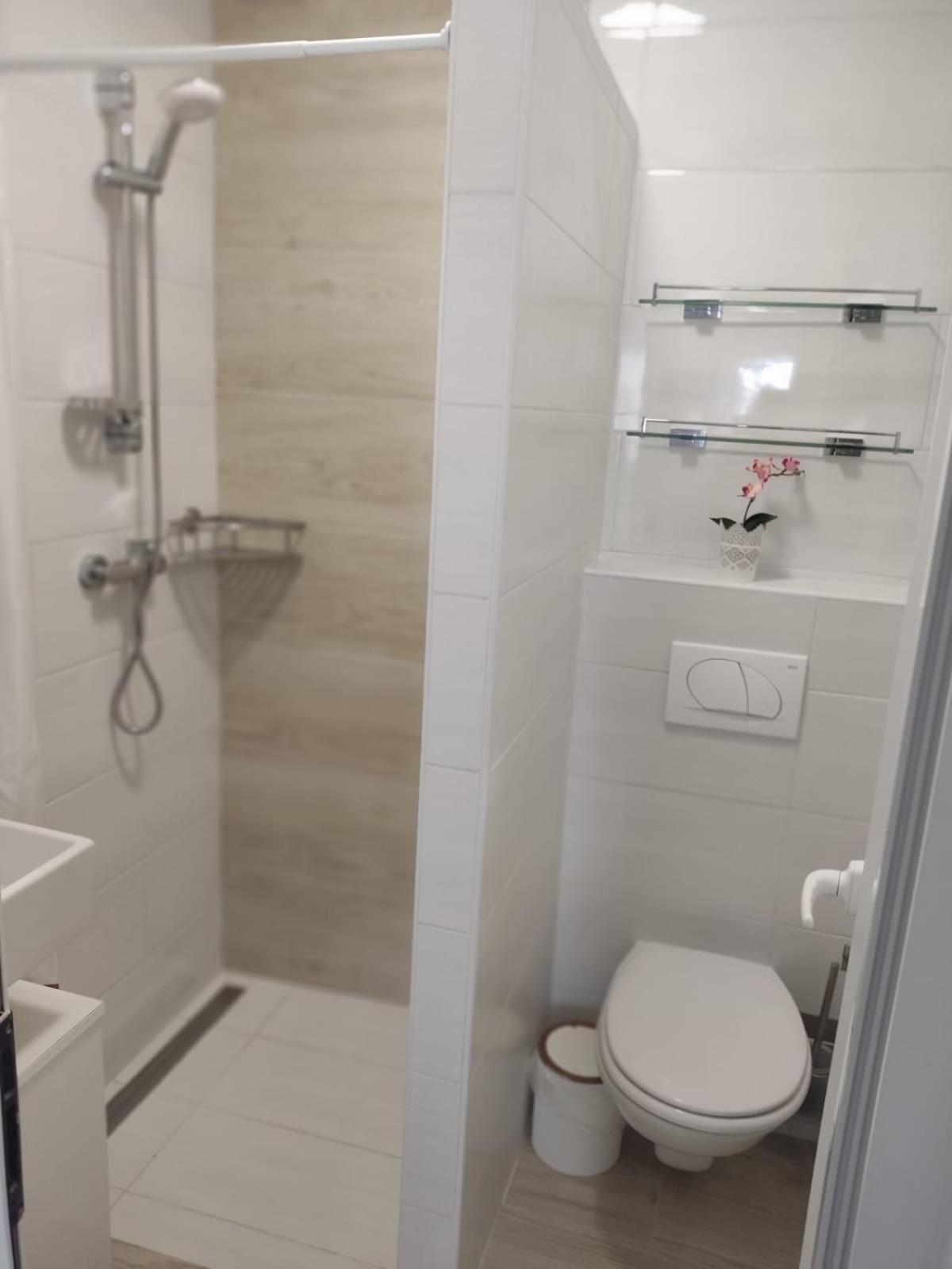 Ferienhaus Bozena Appartment 4 Vrsar Ngoại thất bức ảnh